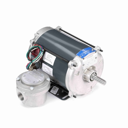 Leeson 0.17 Hp Explosion Proof Motor, 1 Phase, 1200 Rpm H891